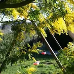 Valle Del Metauro 4*