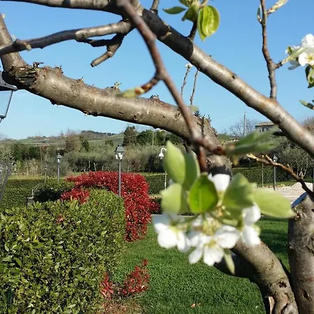 B&B Valle Del Metauro 몬테마기오레알메타우로
