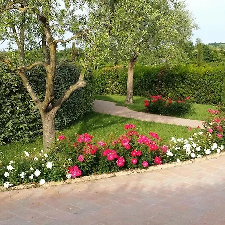 Valle Del Metauro 4* Montemaggiore al Metauro