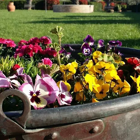 Valle Del Metauro 蒙特玛佐里奥梅特