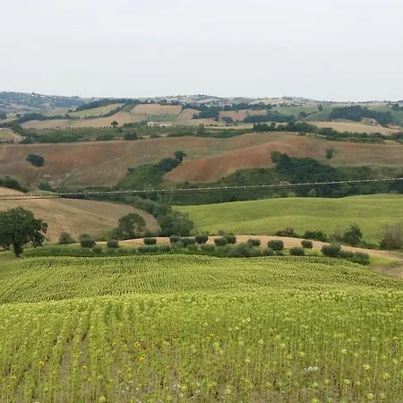 Valle Del Metauro Nocleg ze śniadaniem