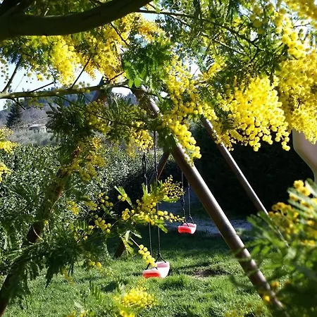 Valle Del Metauro 4*