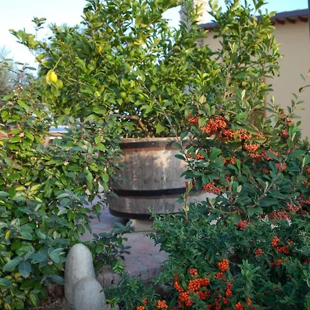 住宿加早餐酒店 Valle Del Metauro